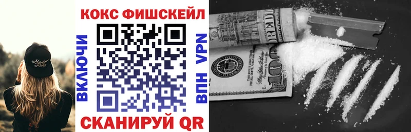 Кокаин Fish Scale  Купить  Меленки 