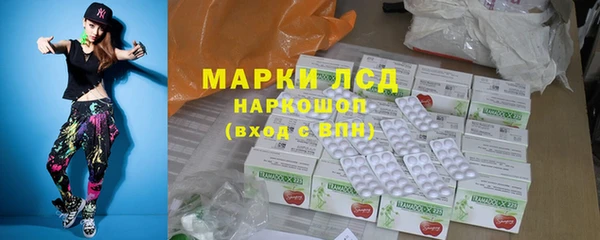крисы Магас