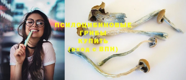 крисы Магас