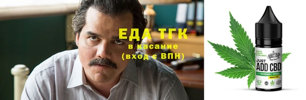крисы Магас