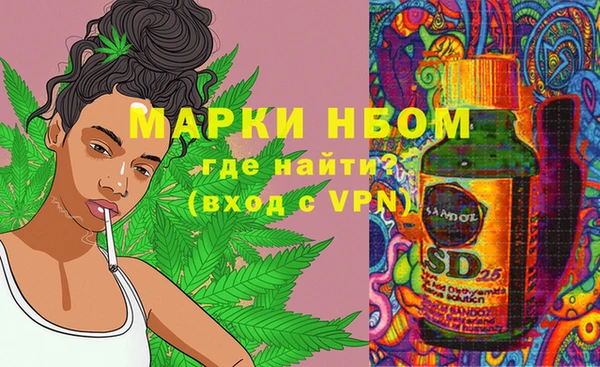 крисы Березники
