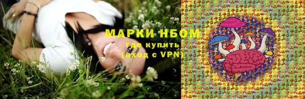 крисы Магас