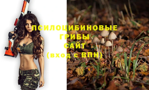 меф Майский
