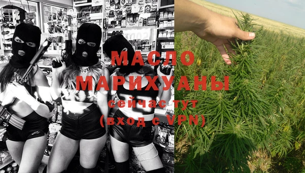 крисы Магас